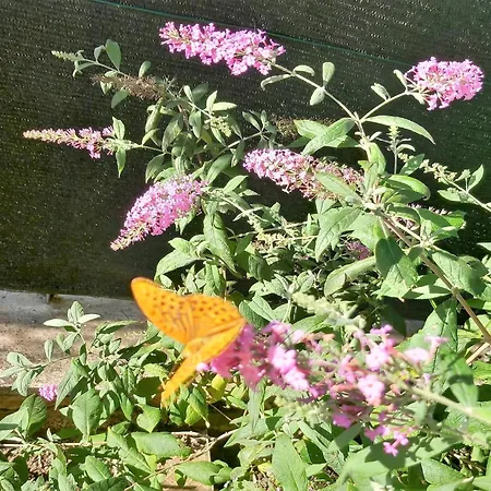 Your Private Garden Retreat *